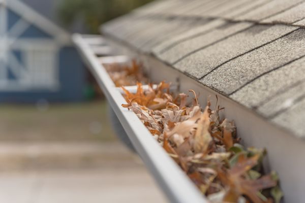 Leaf Barrier Installation in Albuquerque