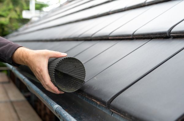 Gutter Mesh Installation in Albuquerque